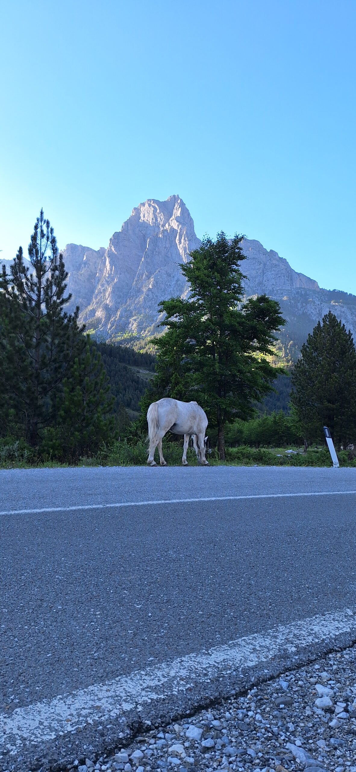 How to travel from Tirana to Teth in the Albanian Alps