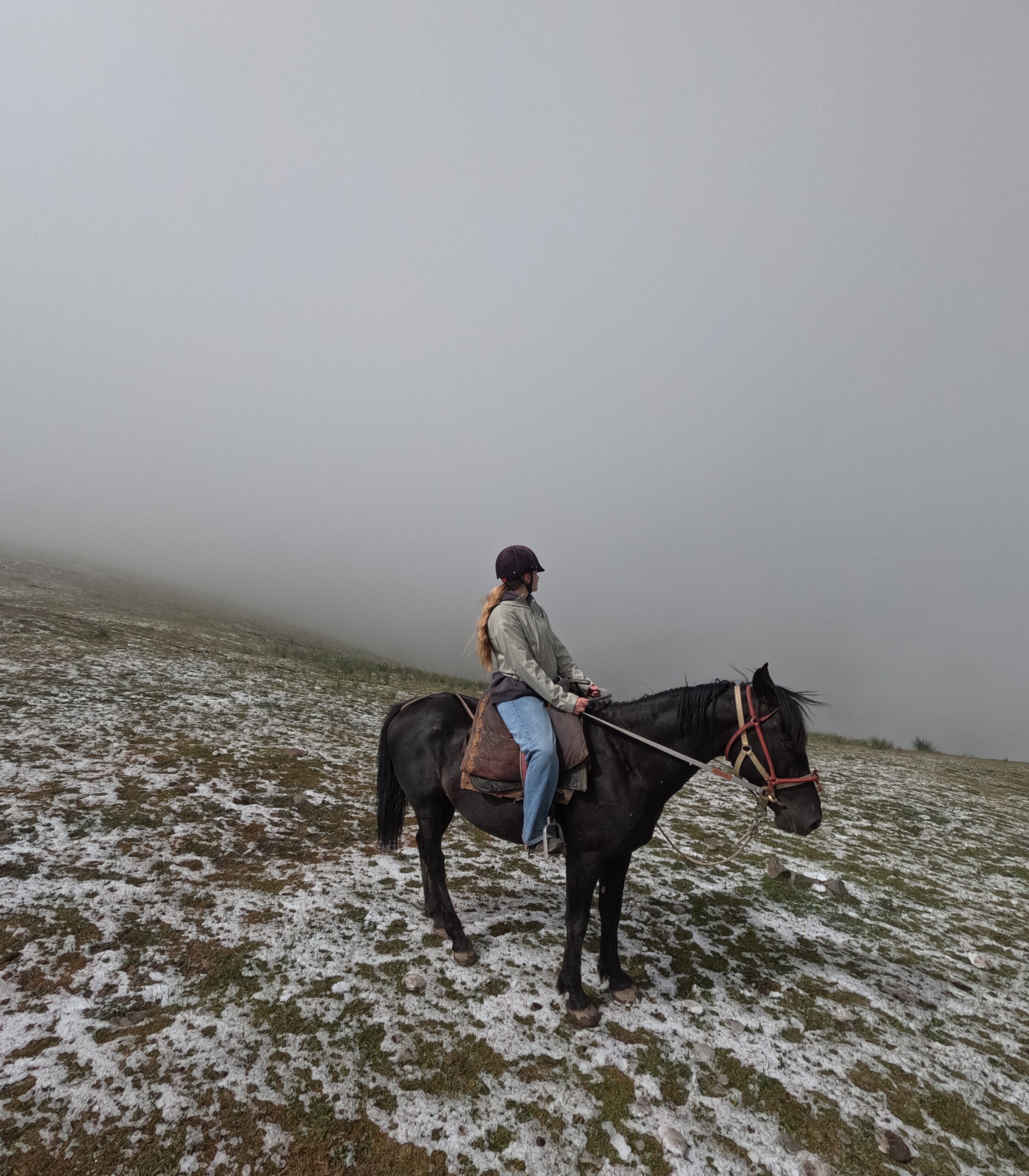 Kyrgyz horse trekking: How to find a guide with horses and what to expect