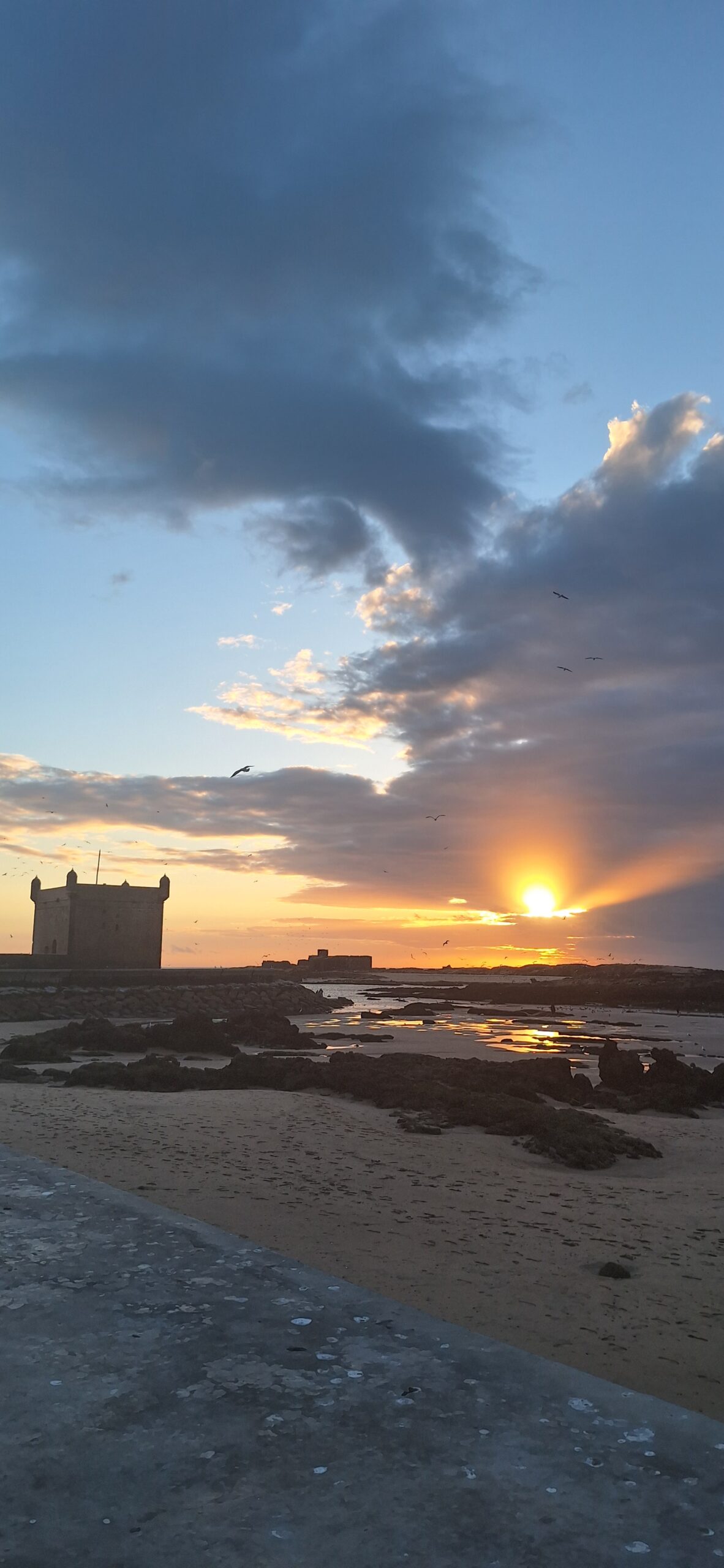The fascinating hidden gem of Morocco: Essaouira