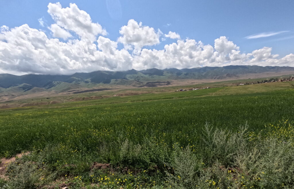 Roadside views on the way from Too-Ashuu Pass down into Suusamyr Valley.
