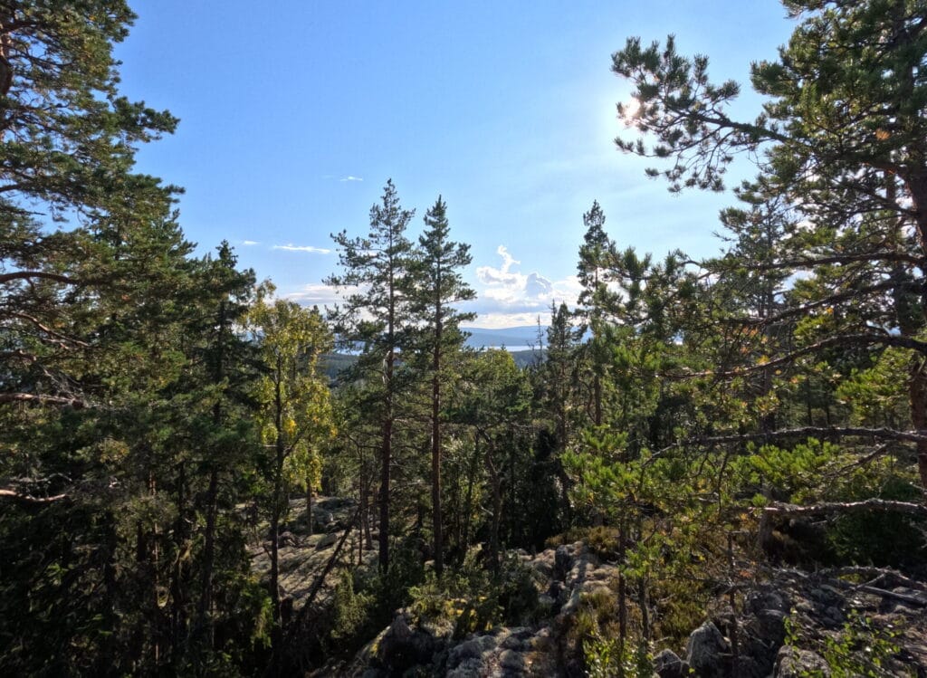 Views climbing Nilsberget on the Höga Kusten Leden