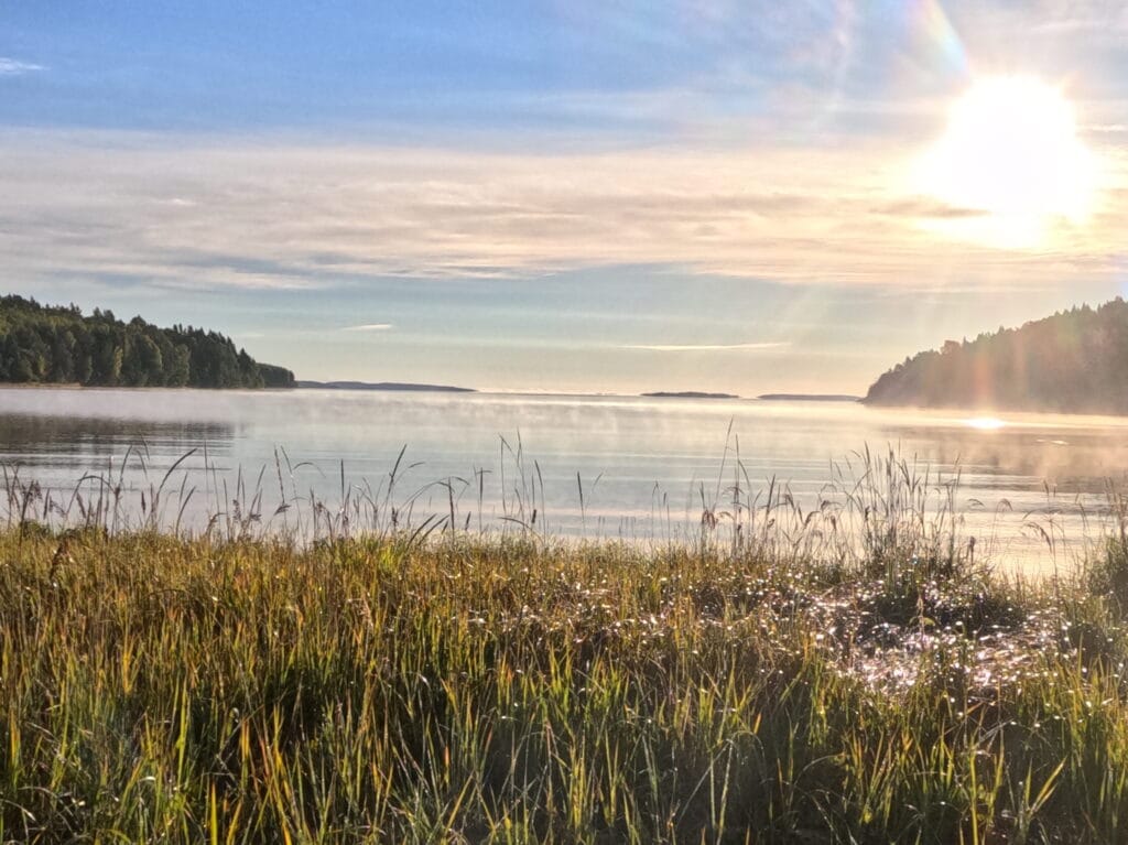 Views over Kälsviken along the Höga Kusten Leden.