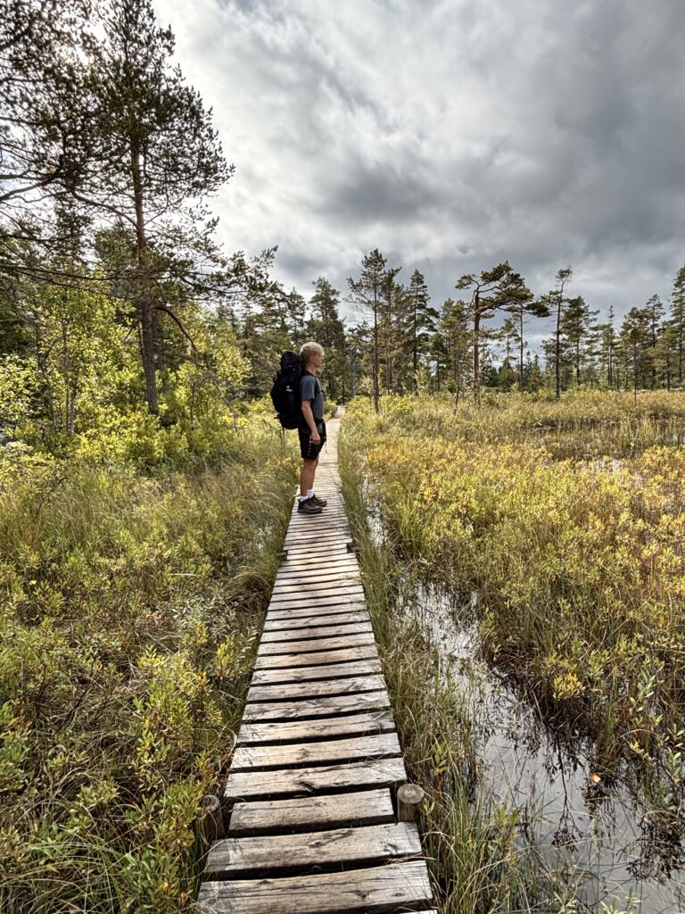 Hiking along the Höga Kusten Leden.